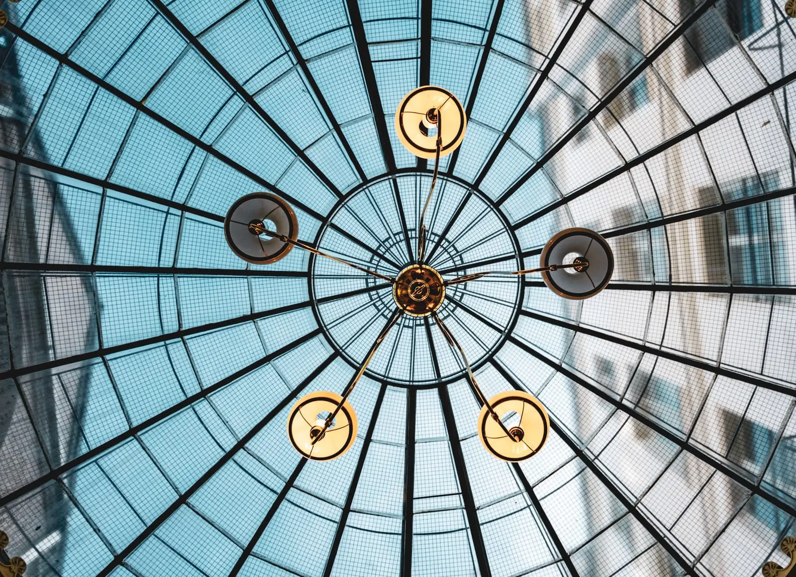white and black floral dome ceiling architecture education