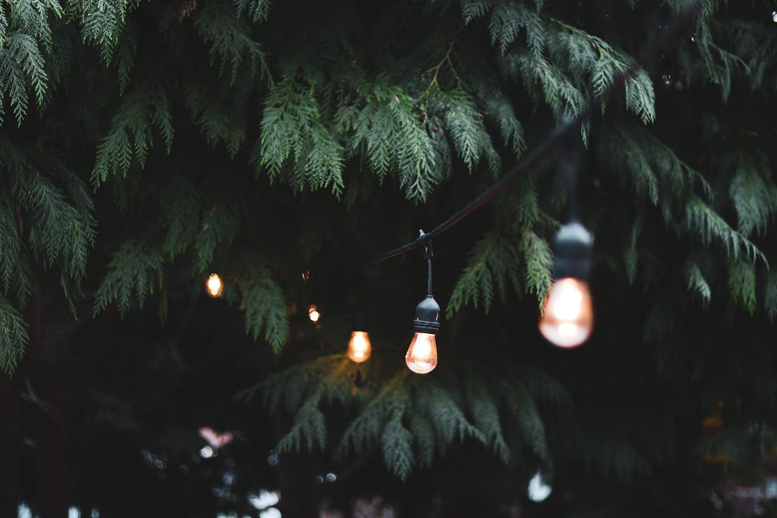 festoon lights