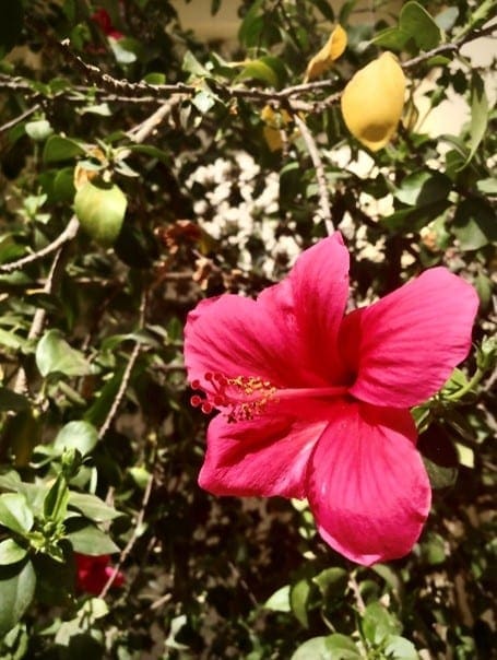 Nature paradise at Lavasa