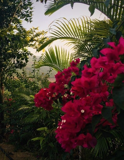 Nature Trail Lavasa