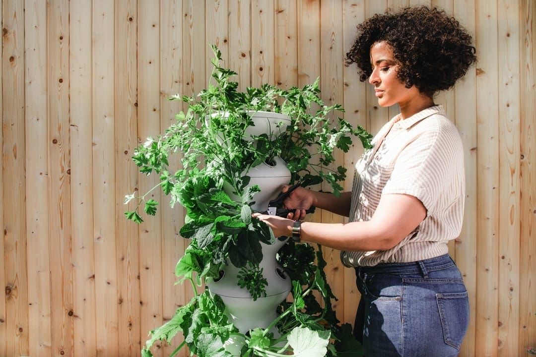 5 Self-Care Tips For A More Relaxed Life 8 gardening for a relaxed life