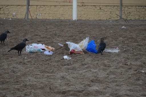 Eco-Crisis Management: Need Of The Hour Or Not? 3 Plastics in the time of eco-crisis