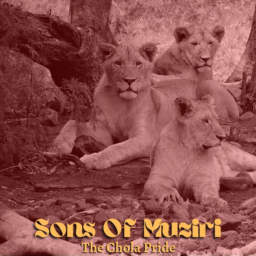 Sons Of Muziri Part 4 2
