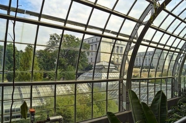 greenhouse conservatories