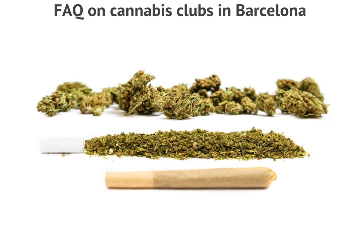 Guide to cannabis clubs in Barcelona