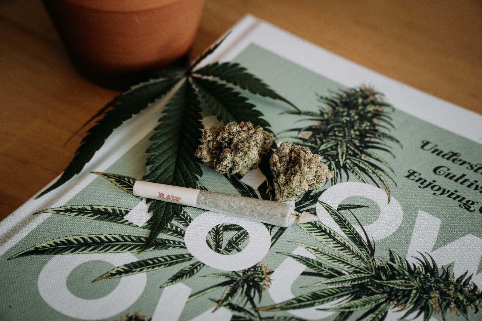 Photo by Shelby Ireland white and brown cigarette stick on white and black floral textile