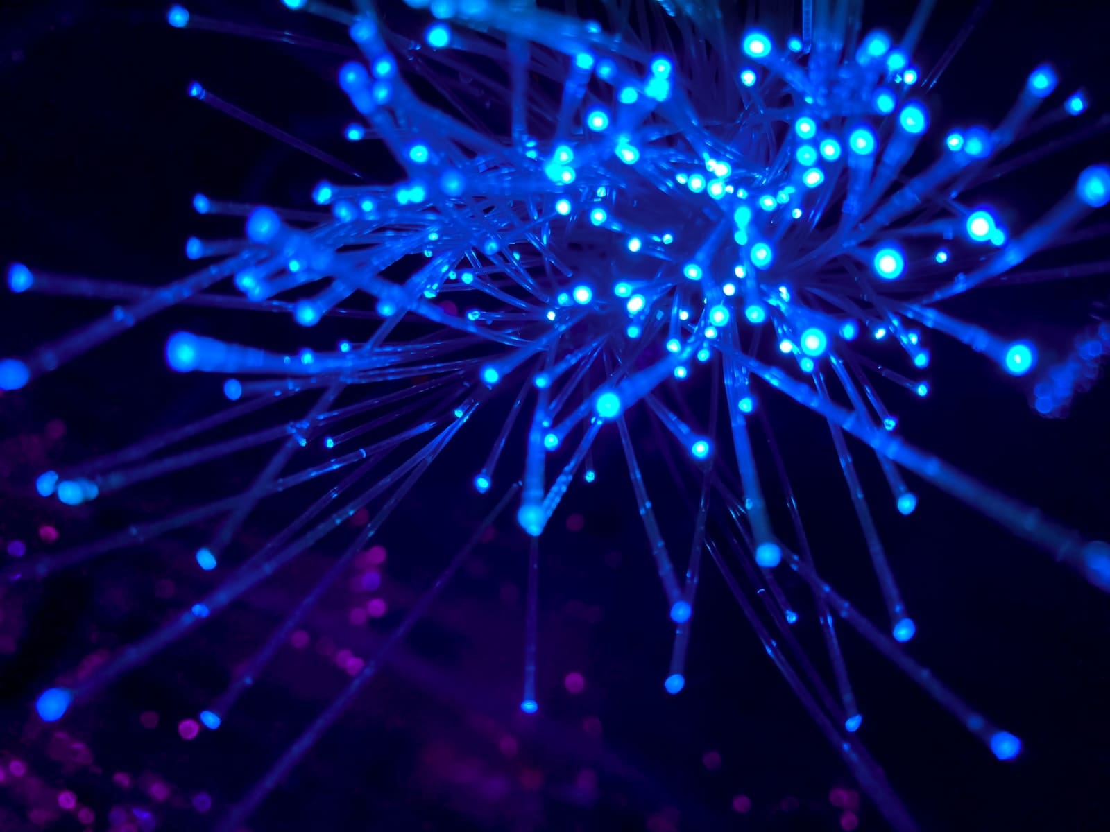 Photo by JJ Ying high speed internet purple and blue light digital wallpaper