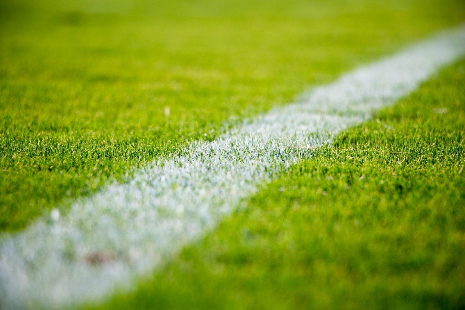 Close-up of a white line on green grass in a soccer field turf