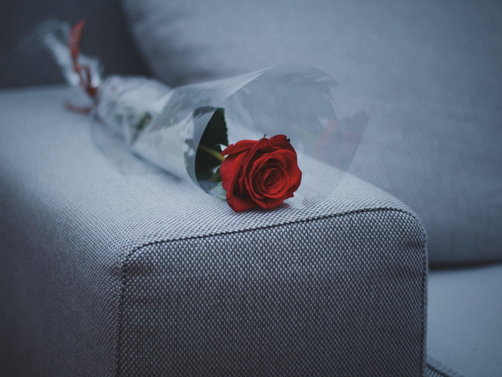 uses of flowers red rose flower on gray fabric sofa