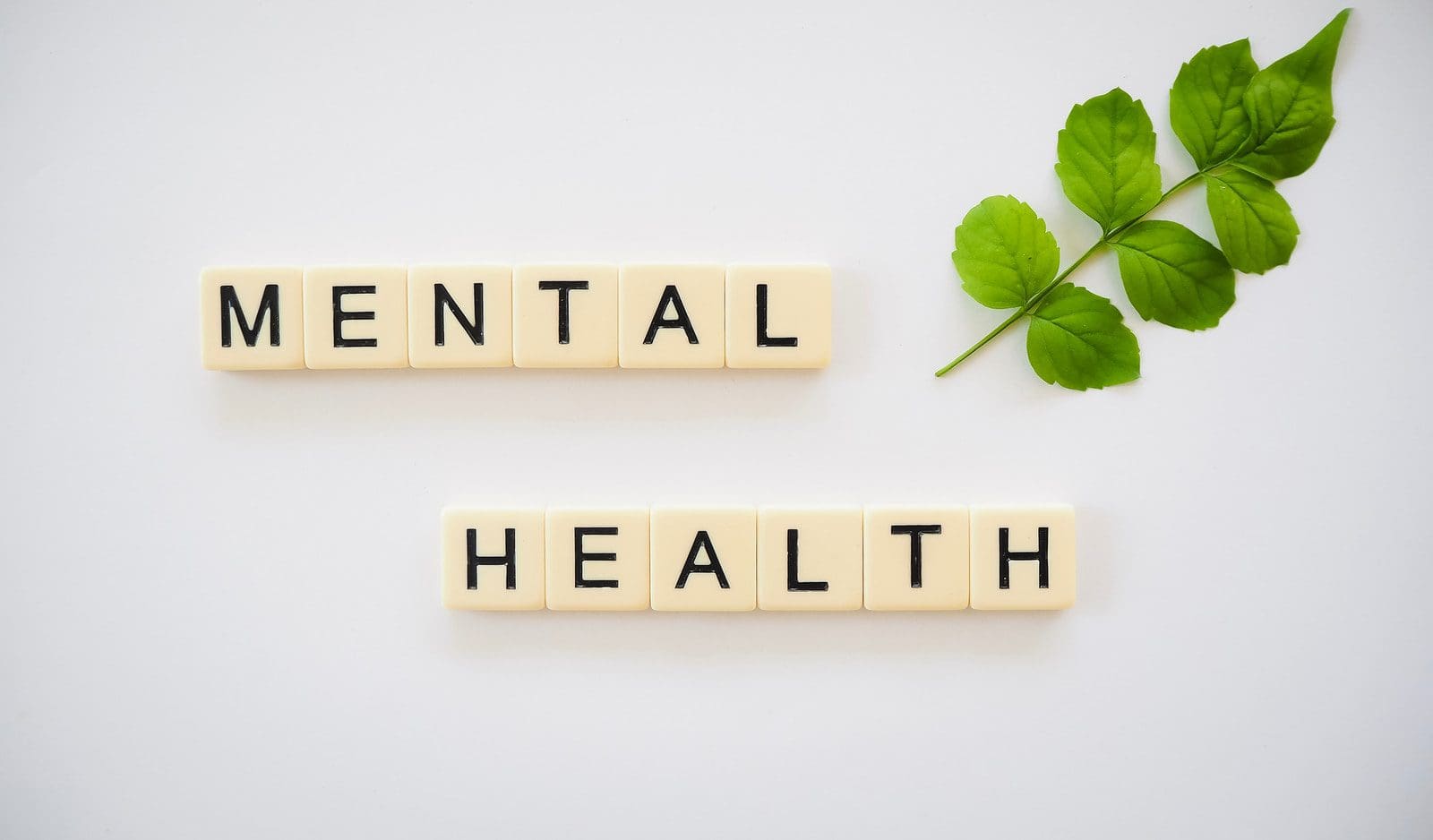 Looking Out - A Mental Health Guide 1 mental health