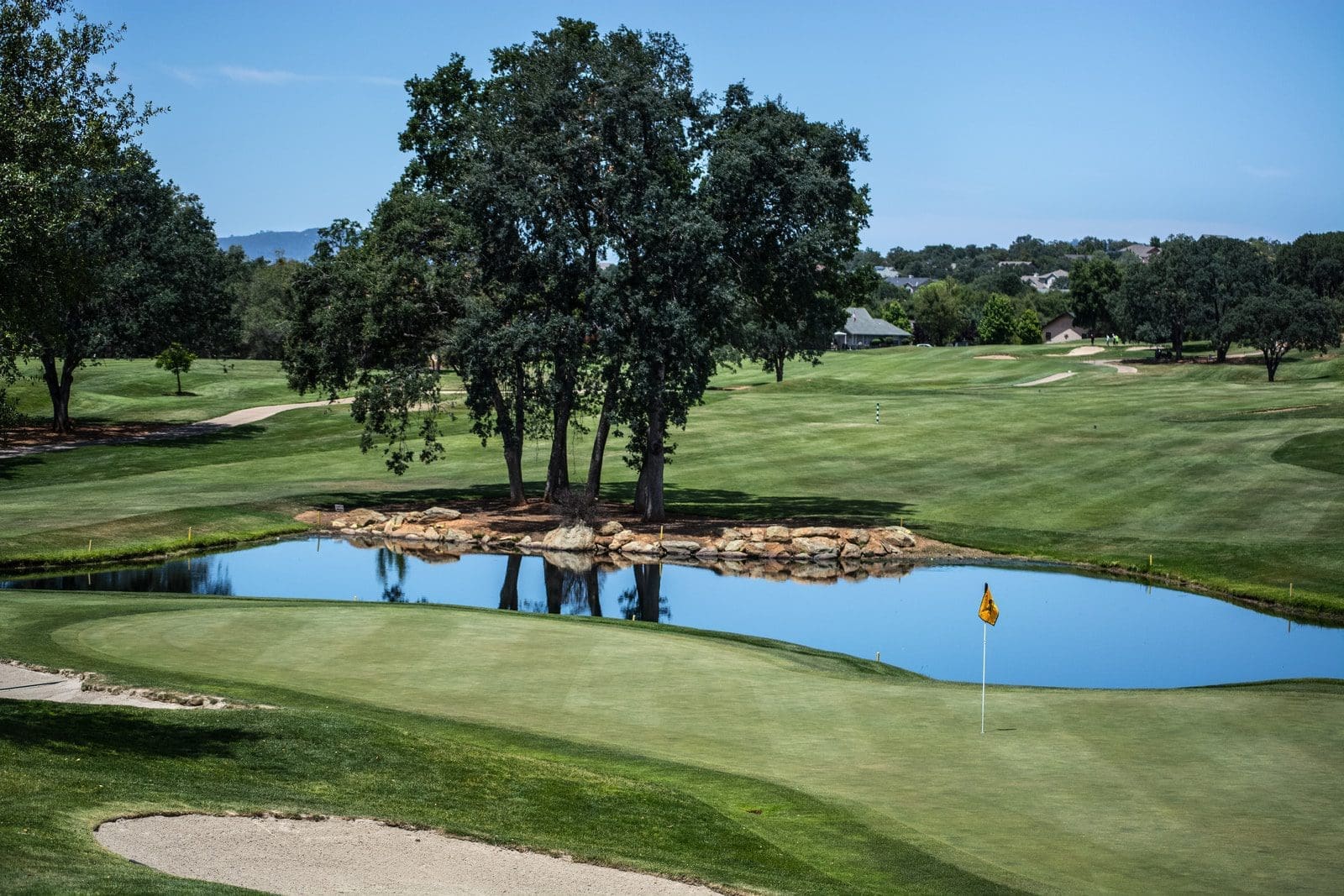 interesting career golf diver green leaf tree near pond