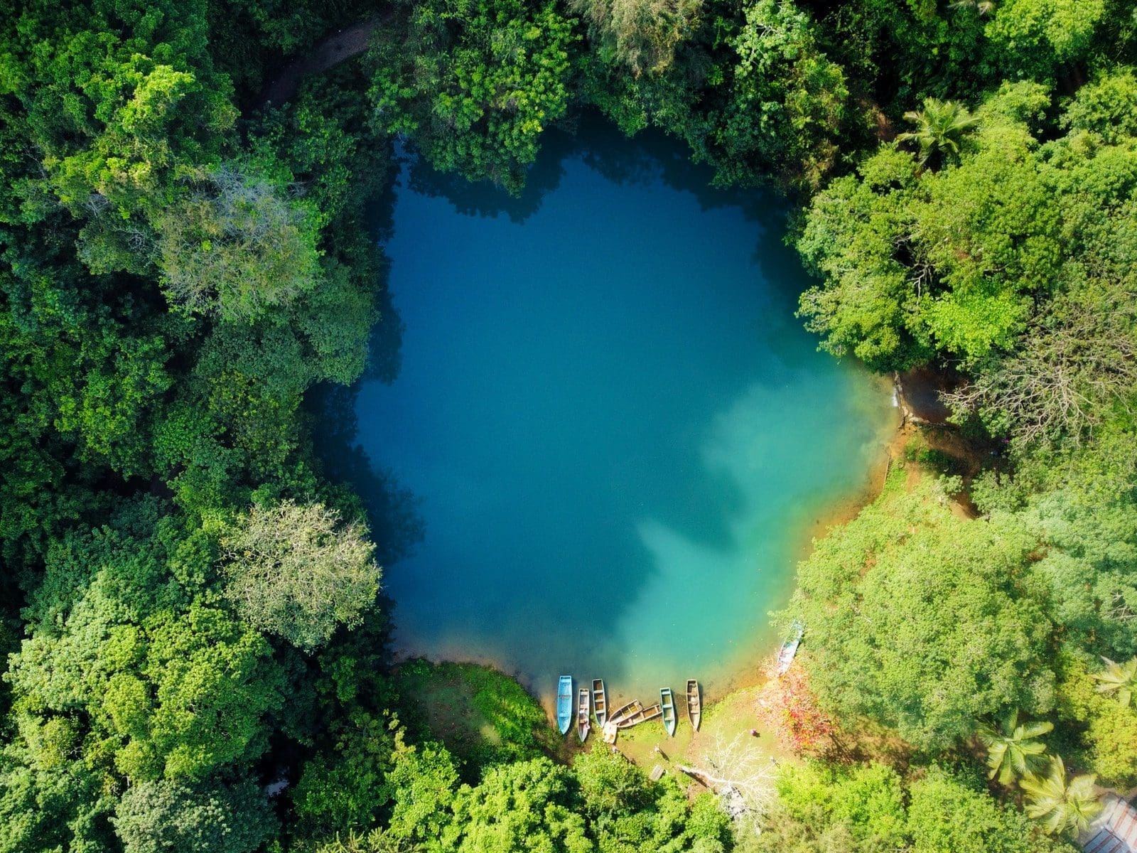 dominican republic aerial view of green trees and river