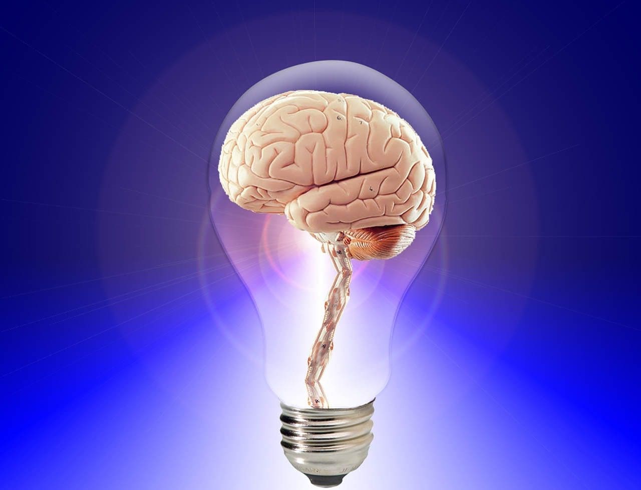 Photo by PublicDomainPictures business intelligence