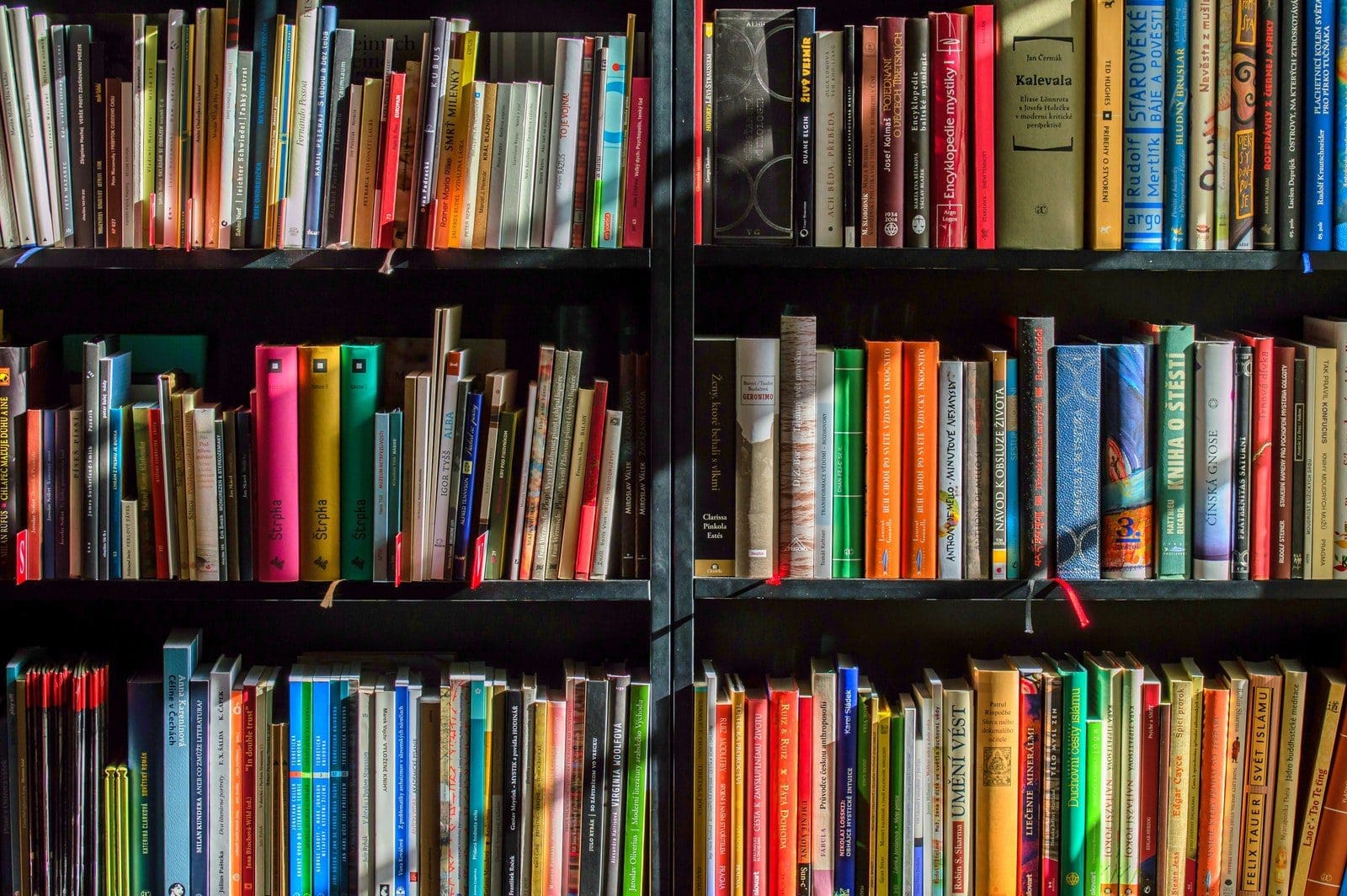 Gambling Books in Black Wooden Book Shelf