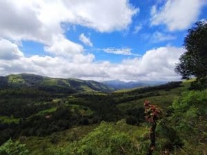 Manipal Travels Private Limited #1 : Kudremukh / Kyatanmakki Hills 1 IMG 20210926 WA0024