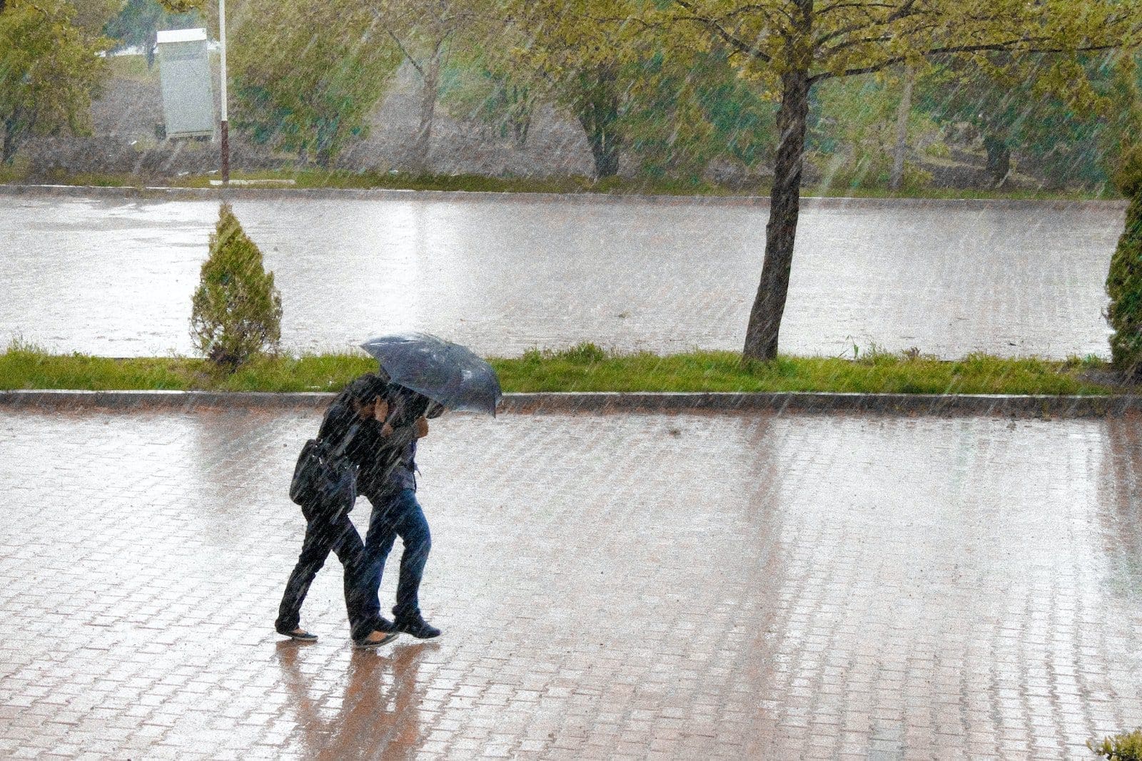 coupe walking in street while raining under an umbrella