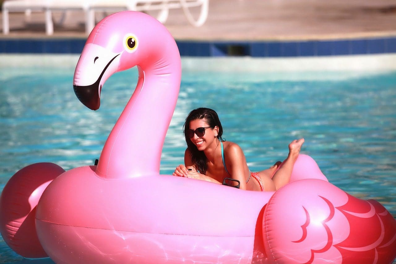 flamingo, pool, sea