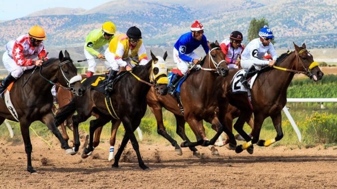 horses, racing, wyoming, sports betting site