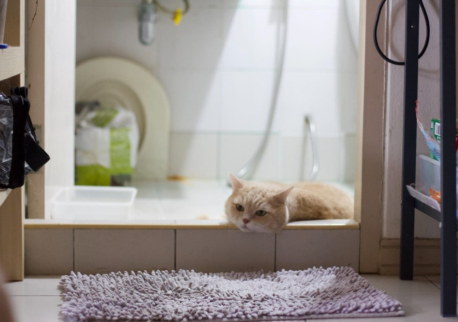 How to Wash Bathroom Rugs ManipalBlog
