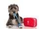 Pet CPR