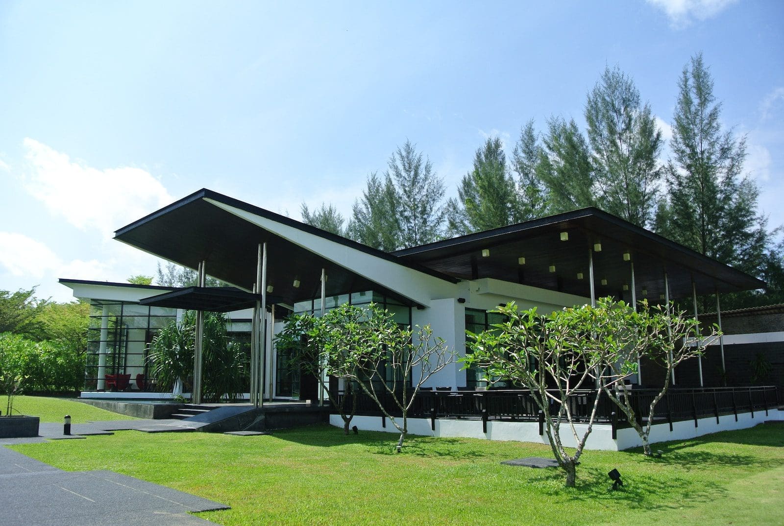 a modern house with a black and white roof