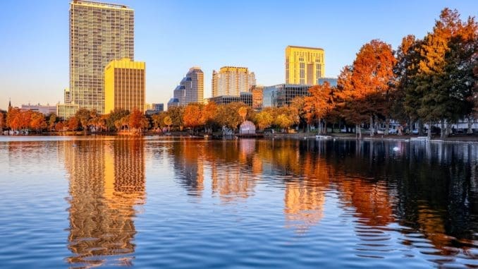 green trees near body of water during daytime