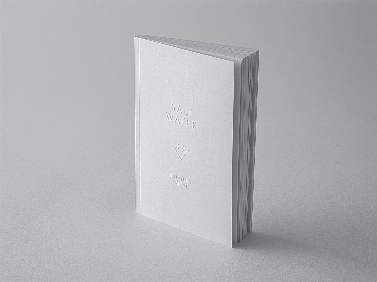Choosing A Publisher For Your Book 1 whitey book