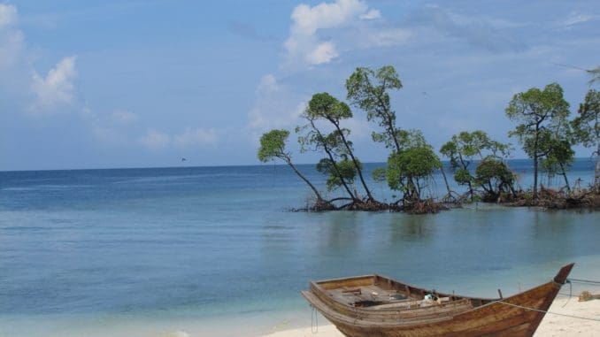 brown wooden jon boat on seashore Andaman and Nicobar