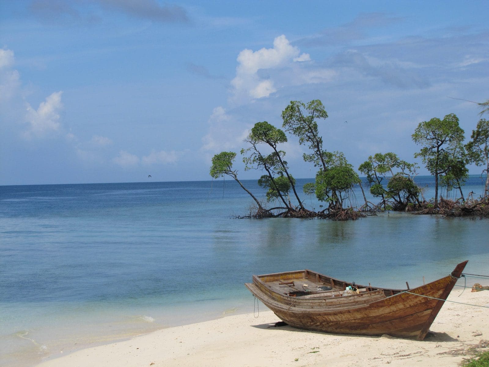 brown wooden jon boat on seashore Andaman and Nicobar