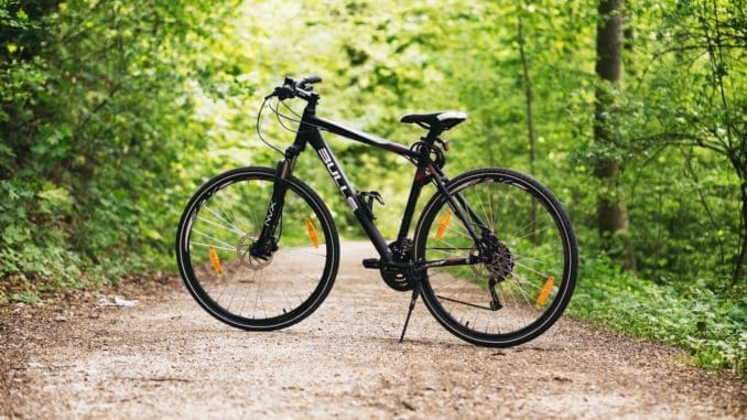 Black and White Hardtail Bike on Brown Road Between Trees select a bicycle