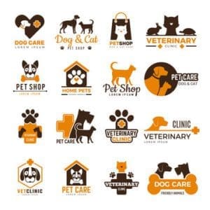 Pet Boarding And Shelter- A Comprehensive Guide 1 pet 2.0