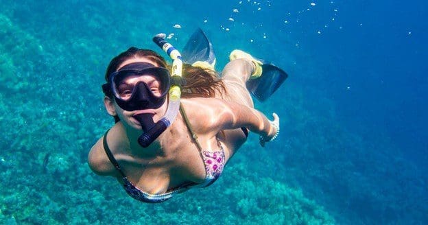 snorkeling paradise