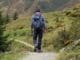 mountaineering, man, trail, Trekking