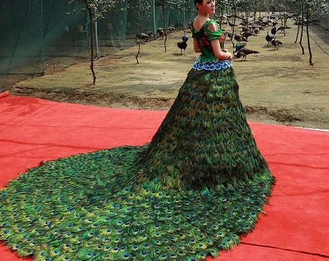 The Peacock Wedding Dress