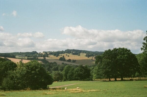 a grassy field with trees and hills in the background warwickshire